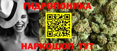 spice Бузулук