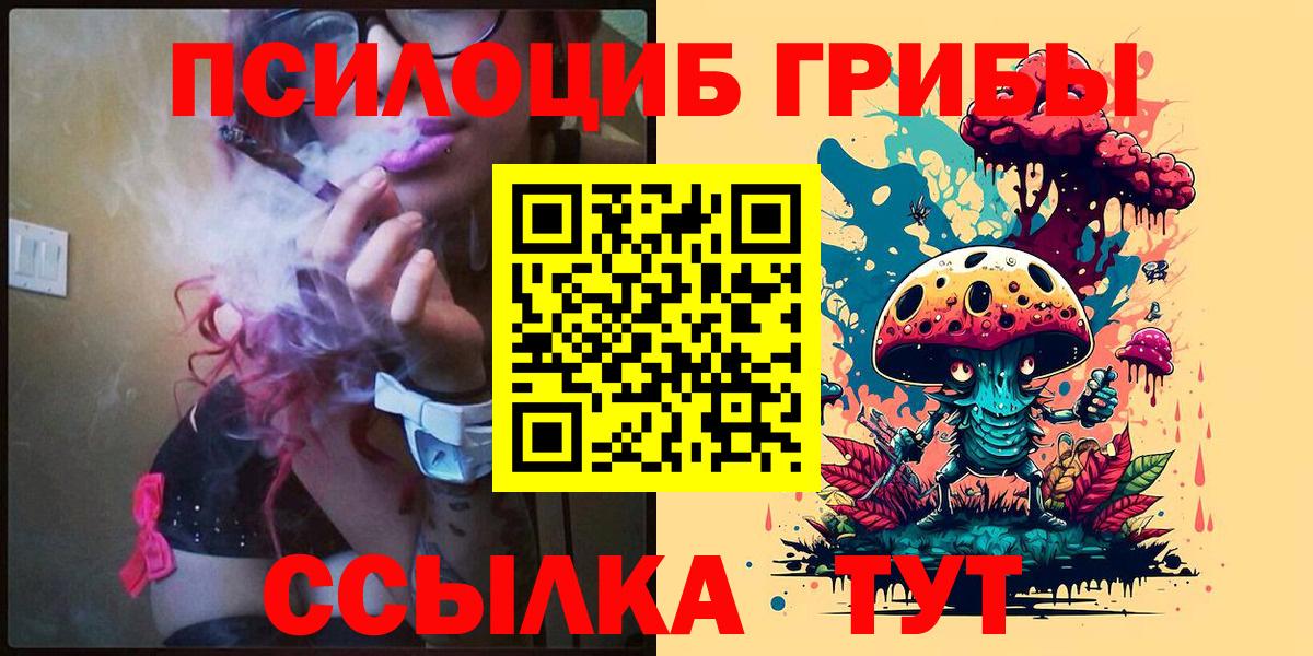 Северобайкальск  Псилоцибиновые грибы Psilocybe  Вход с VPN 